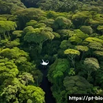 Home 19 생물다양성 보전 전문가 직무 성과 - A detailed aerial view of a lush Atlantic Forest reserve in Brazil, captured by a drone flying over ...