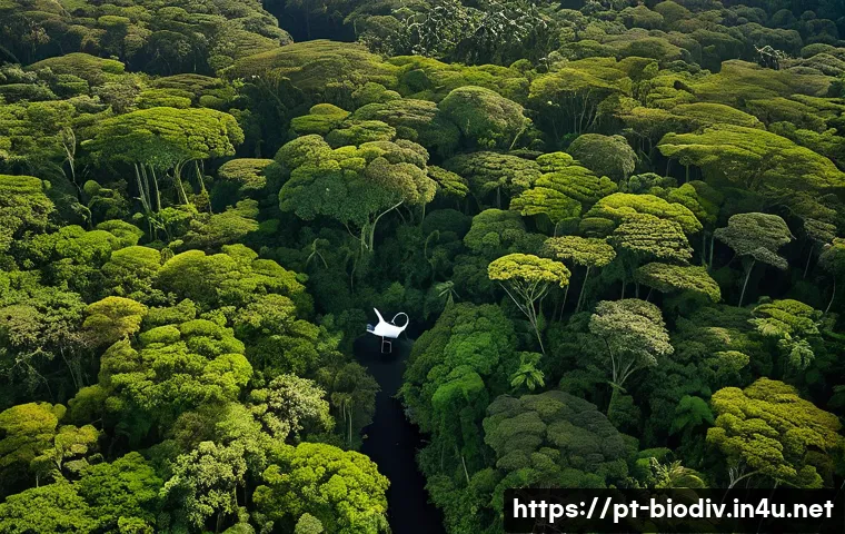 생물다양성 보전 전문가 직무 성과 - A detailed aerial view of a lush Atlantic Forest reserve in Brazil, captured by a drone flying over ...