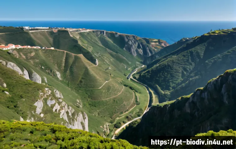 Como se preparar para trabalhar com conservação da biodiversidade: competências, cursos e critérios para investir 4 생물다양성 보전 직무 관련 공부법 관련 이미지 2